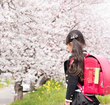 先輩ママ直伝！ 子どもの小学校入学前に知るべき準備と心構え