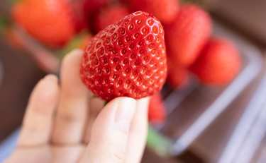 相葉雅紀さんも大満足！いちごのシュークリームが家で簡単に！？