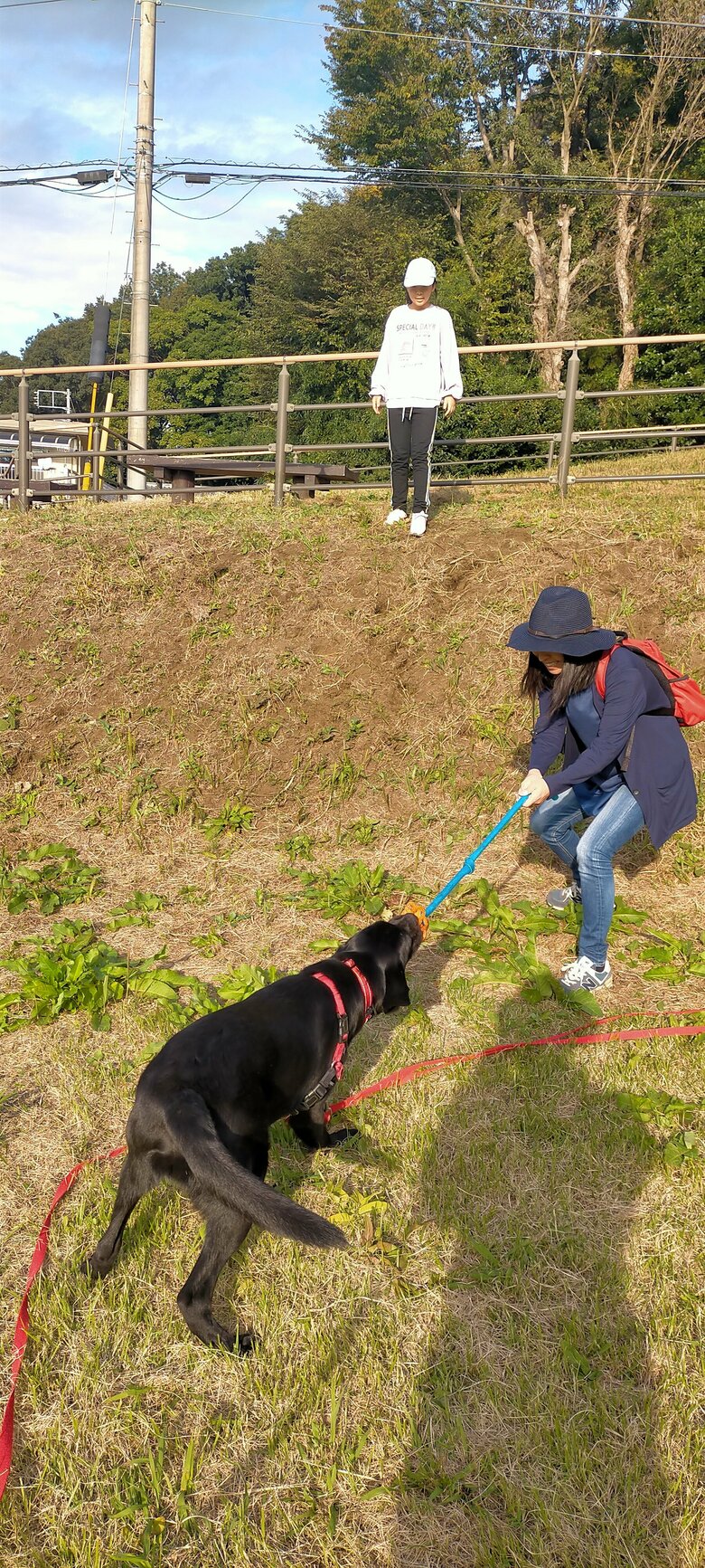 10か月頃のリアン。お出かけ先でもしっかりとリードをつけ、大好きな引っ張りっこ遊びを楽しむ