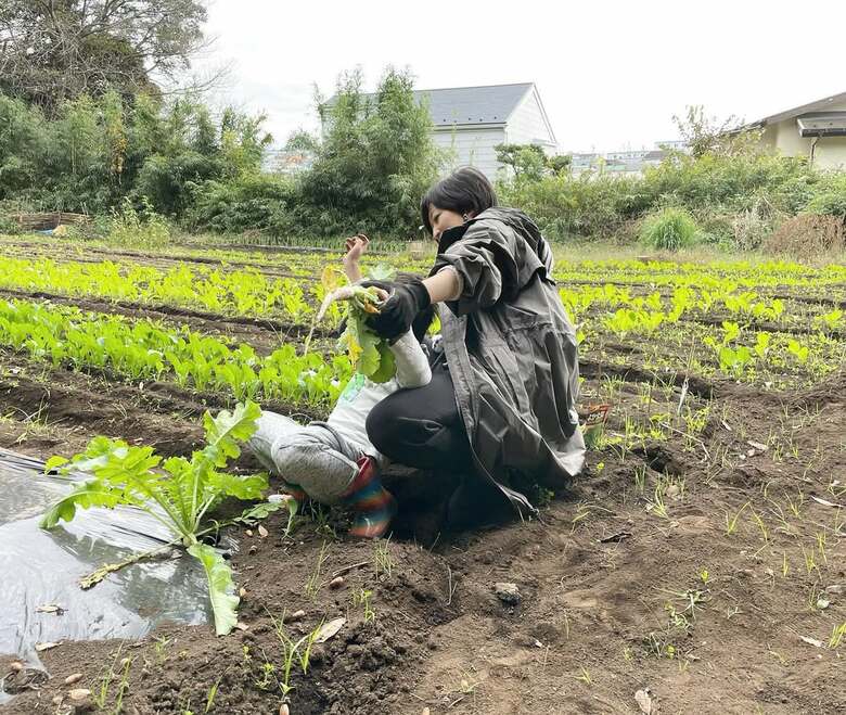 子どもと畑に出かけて大根を収穫