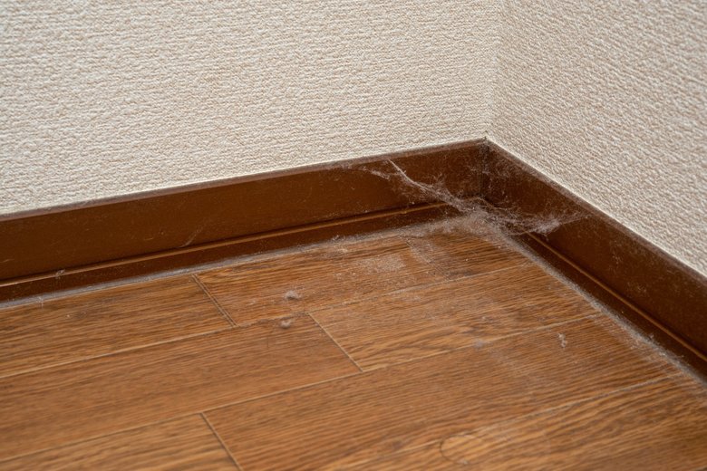 【ダニの食べ物】ちりやほこり、皮膚片や髪の毛などのゴミがダニのエサに