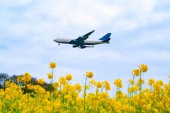 株主優待で悠々フライト♪旅費を浮かす方法