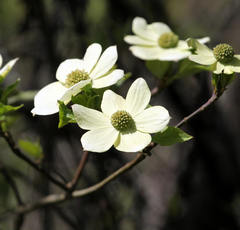 平成にみんながカラオケで一番歌った楽曲が判明！実はラブソングじゃないあの名曲