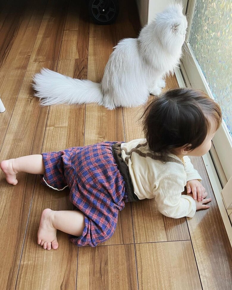 愛猫のシオちゃんと娘のこもちゃん。窓の外を見つめる佇まいがまるで姉妹のよう！（写真提供／本人）