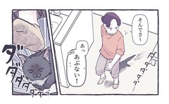 「なんかの修行？」予想外の猫の動きへの対処法