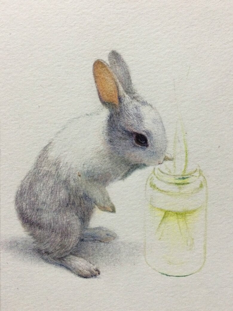 写実的な動物の絵を得意としている