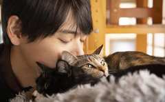 「働いていないことの何が悪いの？」古川雄輝が演じる“愛猫家で少し変”な主人公