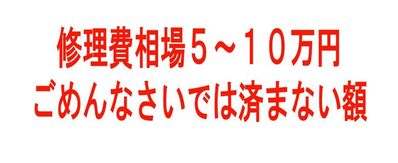 「お願いだから小さい子にドアの開閉やらせないで！！」（12/12P）