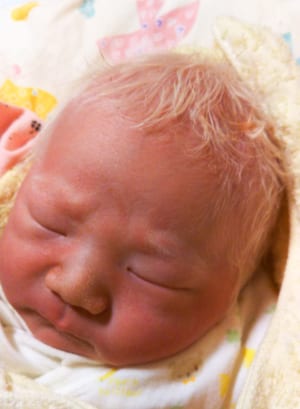 生まれた直後のリツキくん