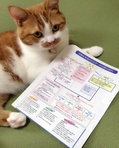 妊活中のクリニックデビュー「行ってよかった！」