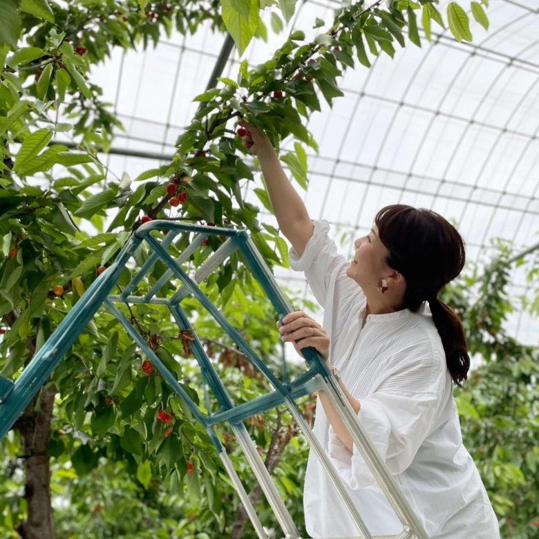フリー転向後も精力的に現場へ。さくらんぼの取材を行う原さん