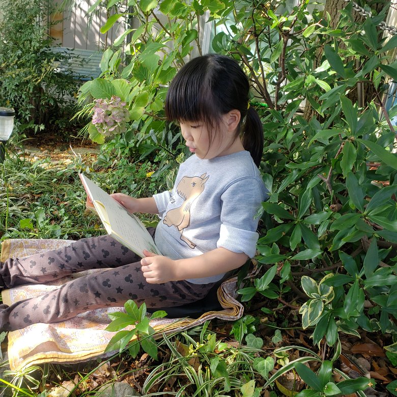 読まない子に勧めるべき本（3）「挿絵がある本」