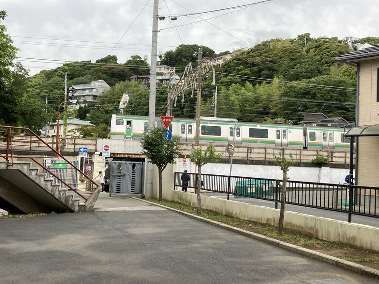 学校からは疾走する湘南新宿ラインの姿も拝める