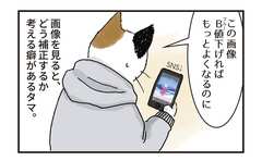 「トーンカーブ」【新人デザイナー・タマのお仕事日記】