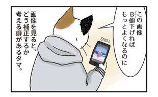 「トーンカーブ」【新人デザイナー・タマのお仕事日記】