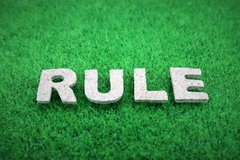 ペットを飼うときに子供と決めるルールって、どうしてる？