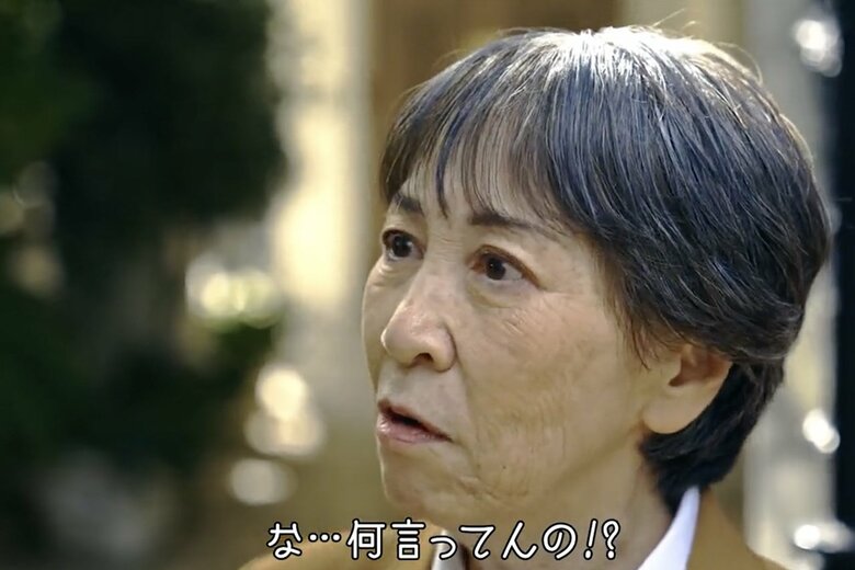 秋に公開された「NIIGATA ICE SELECTION」PV動画（12/28枚）