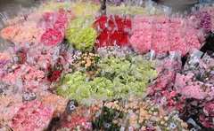 「3日ごとに茎を切る」カーネーションを1か月楽しむ手入れの方法【専門家に聞く】