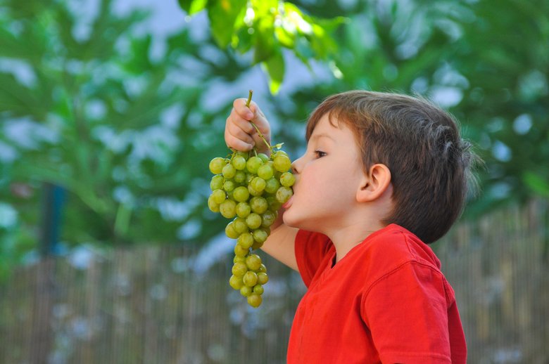 Boy eating grapes.