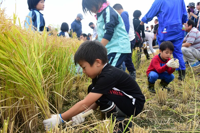 稲刈り体験ツアーの様子