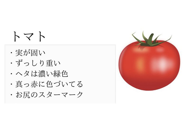 おいしいトマトの見分け方