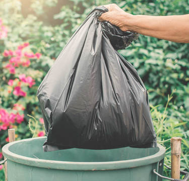 使い切れずに捨ててしまう食材…もやしを抜いた1・2位の野菜は!?