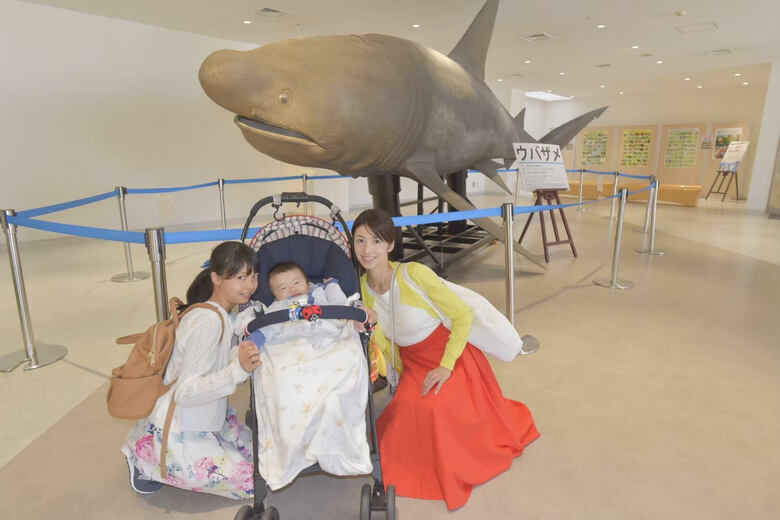 飛行機に落ちついて乗れるようになり徐々に旅行が増えた