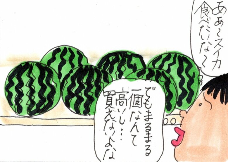 姉妹ふたりで住んでいた頃の息ぴったり！なエピソード「姉妹の不思議　スイカ事件」より抜粋1