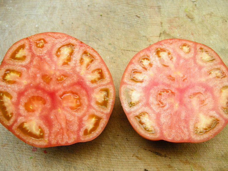 気持ち悪いと言われることも…。越冬トマトの断面図