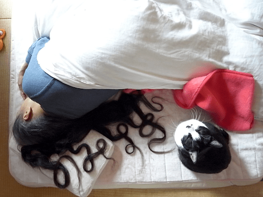 「のみすぎ」大丈夫かにゃ？と猫も心配しているかのよう。