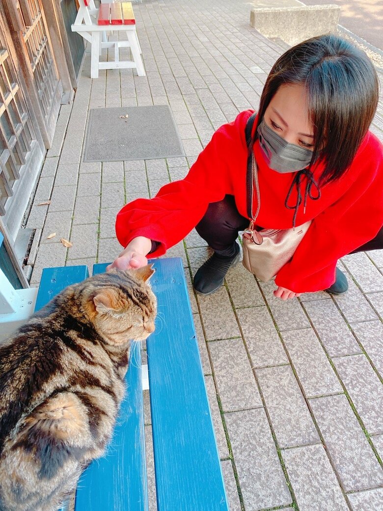街歩き中にベンチに座る猫と触れ合う田村さん