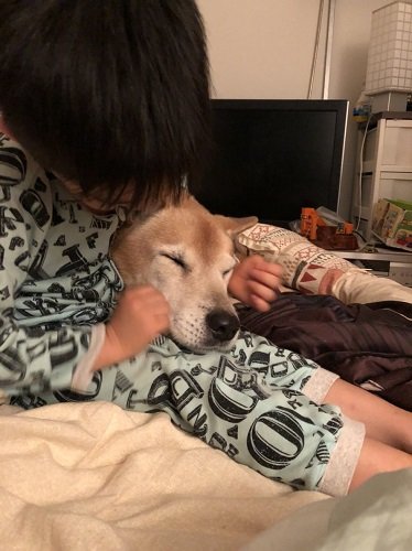 C-Dec2018-2-2