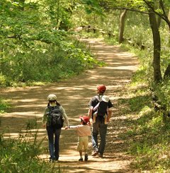 日帰り圏内！子どもが本物の自然に触れられる散策スポット【専門家が選定】