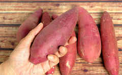 篠田麻里子さんの「子どもの手づかみ食べ用おやつ」が超簡単＆食いつきスゴい！