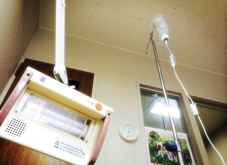 病室の写真。私から見える景色はいつもこれだった