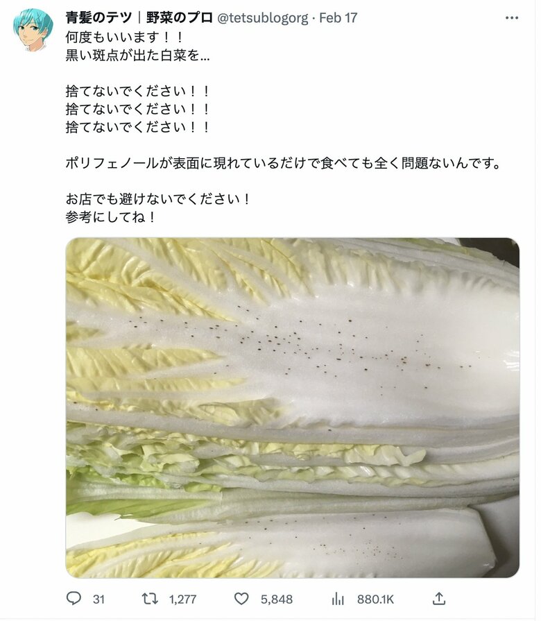 青髪のテツさんの投稿「白菜の黒い斑点」