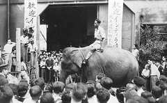 140年前は「博物館的」日本初の動物園 時代とともに変わる役割