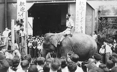 140年前は「博物館的」日本初の動物園 時代とともに変わる役割