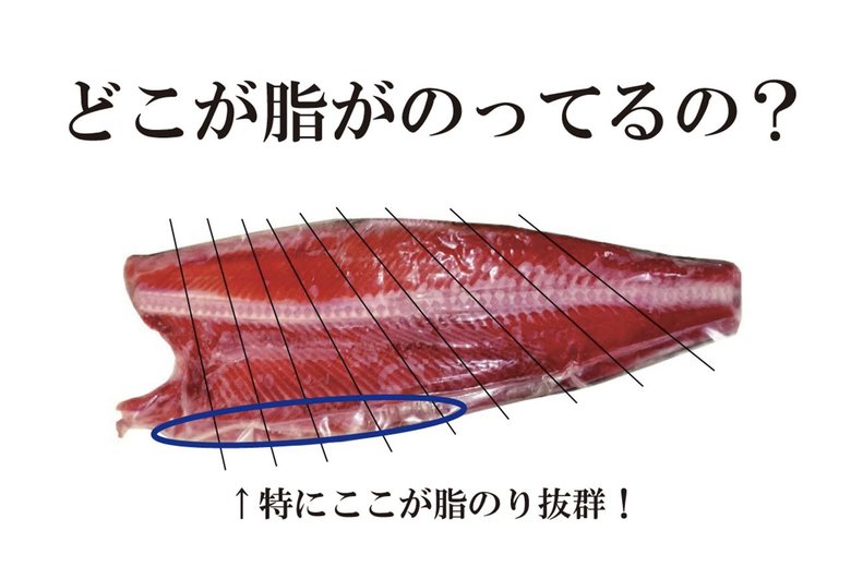 青枠が脂たっぷりの「ハラス」