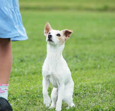 友人に生後3カ月の娘を抱かせたくないワケ…あなたは共感できる!?