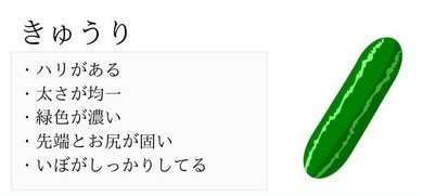 鮮度のいい夏野菜の見分け方」をプロが伝授「永久保存版ですね