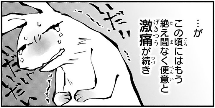 漫画『末期ガンでも元気です　38歳エロ漫画家、大腸ガンになる』第2話（35/54P）