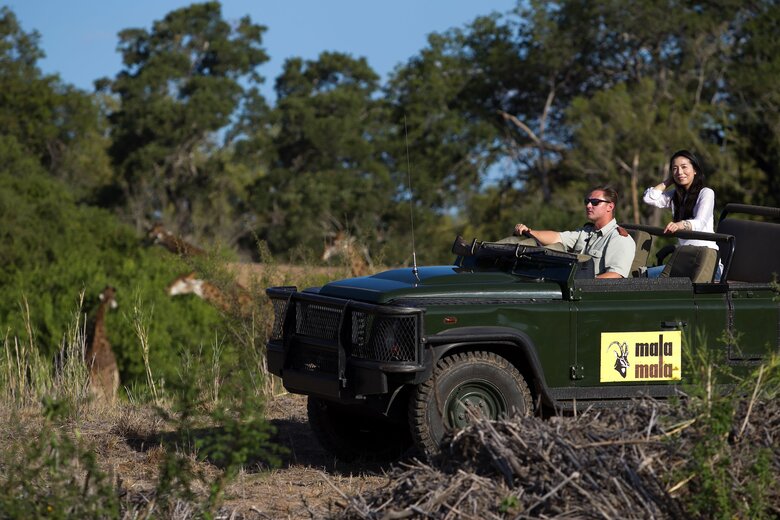 南アフリカのサファリに魅了された高橋さん