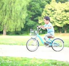 子どもの自転車保険義務化「知らない」では済まされない