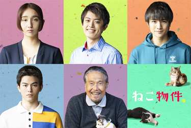 猫に認められなければ住めない！ドラマ「ねこ物件」が新生活の疲れを癒してくれそう