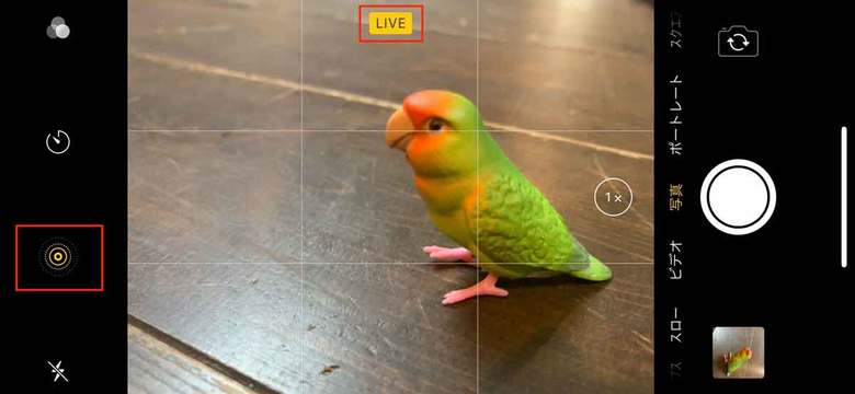 ▲フラッシュの隣にあるLive Photosのアイコンをタップする。オンにするとアイコンが黄色くなり、「LIVE」と表示される。