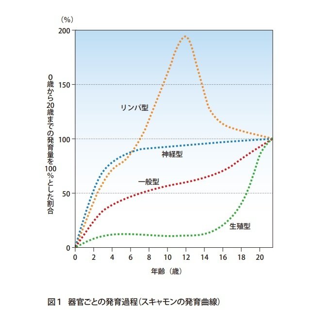 スキャモンの発育曲線の図