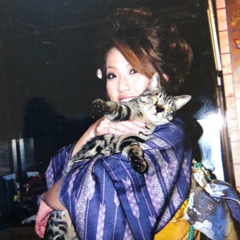 実家で飼っていた愛猫と