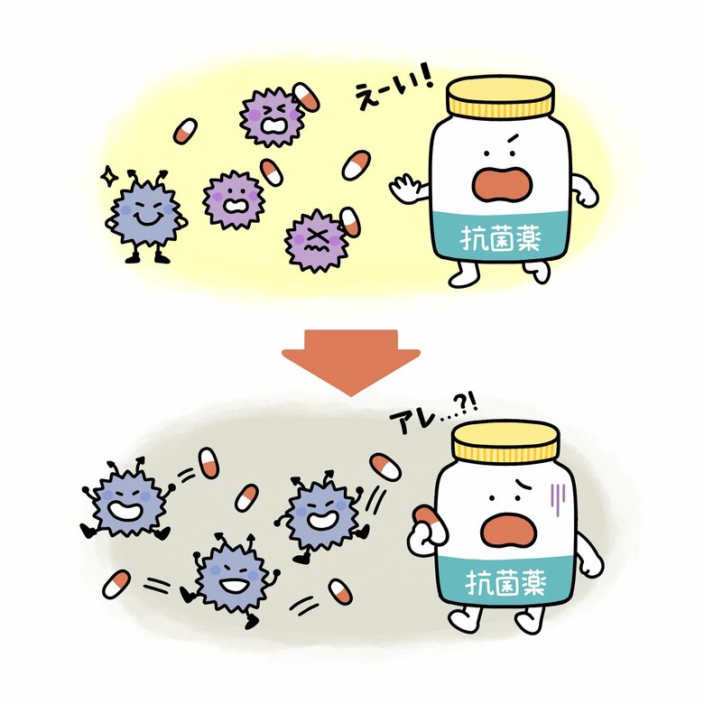 不必要なときに抗菌薬を使っていると、抗菌薬が効かない細菌が増えてしまうことに