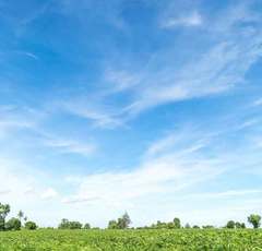 宇宙葬にバルーン葬…!? 亡くなった後の散骨も「これなら選びたい」